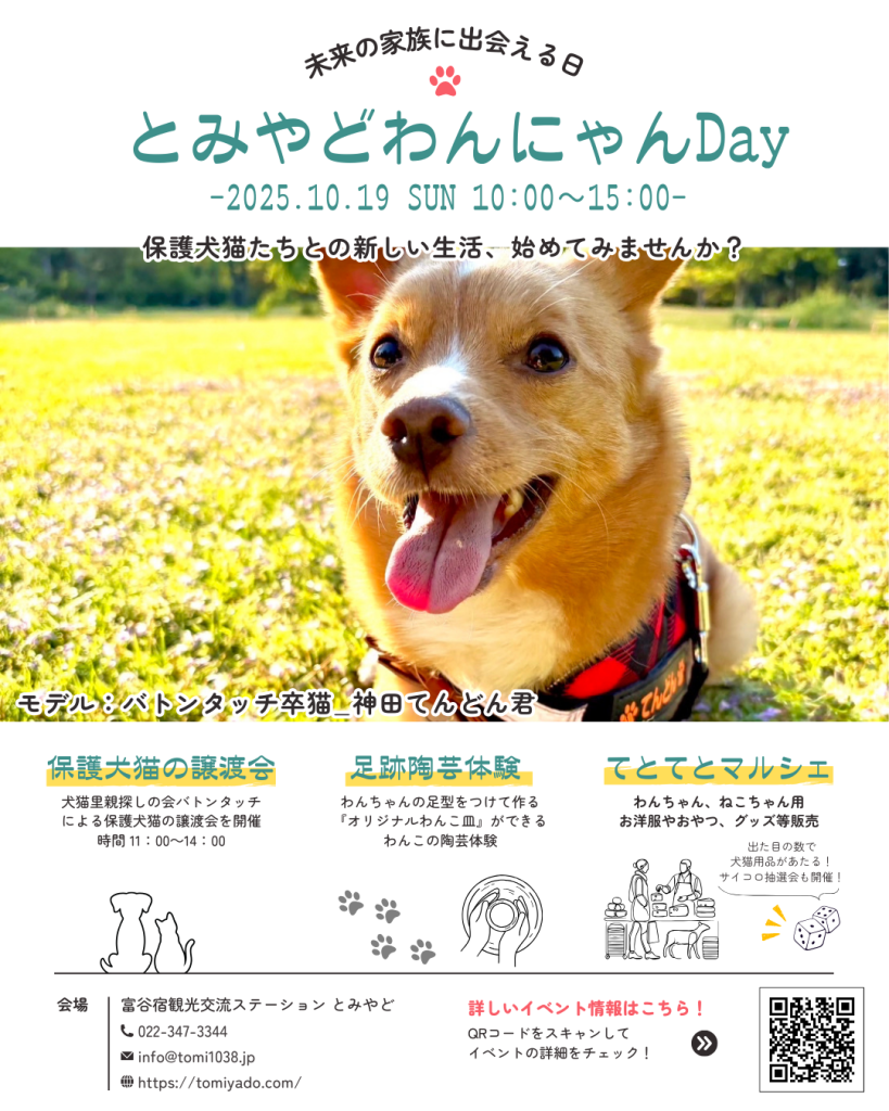 10月とみやどわんにゃんDay