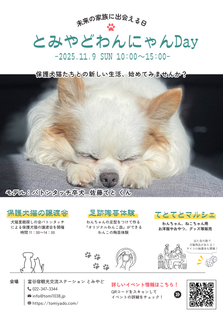 とみやどわんにゃんDay11月