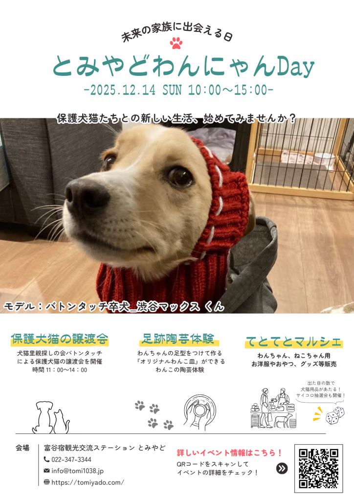 とみやどわんにゃんDay12月